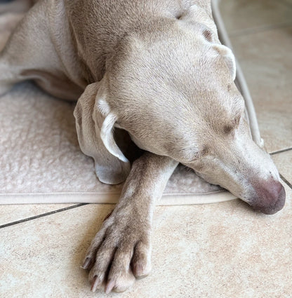 Blanki Merino Wool Dog Mat